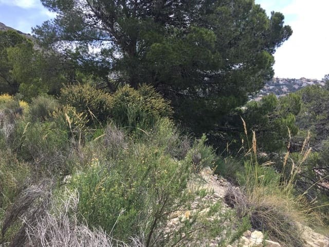 Terre non Aménagée à vendre à Altea - 225 000 € (Ref: 9169299)