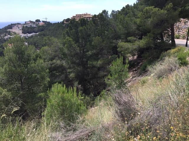 Terre non Aménagée à vendre à Altea - 225 000 € (Ref: 9169299)