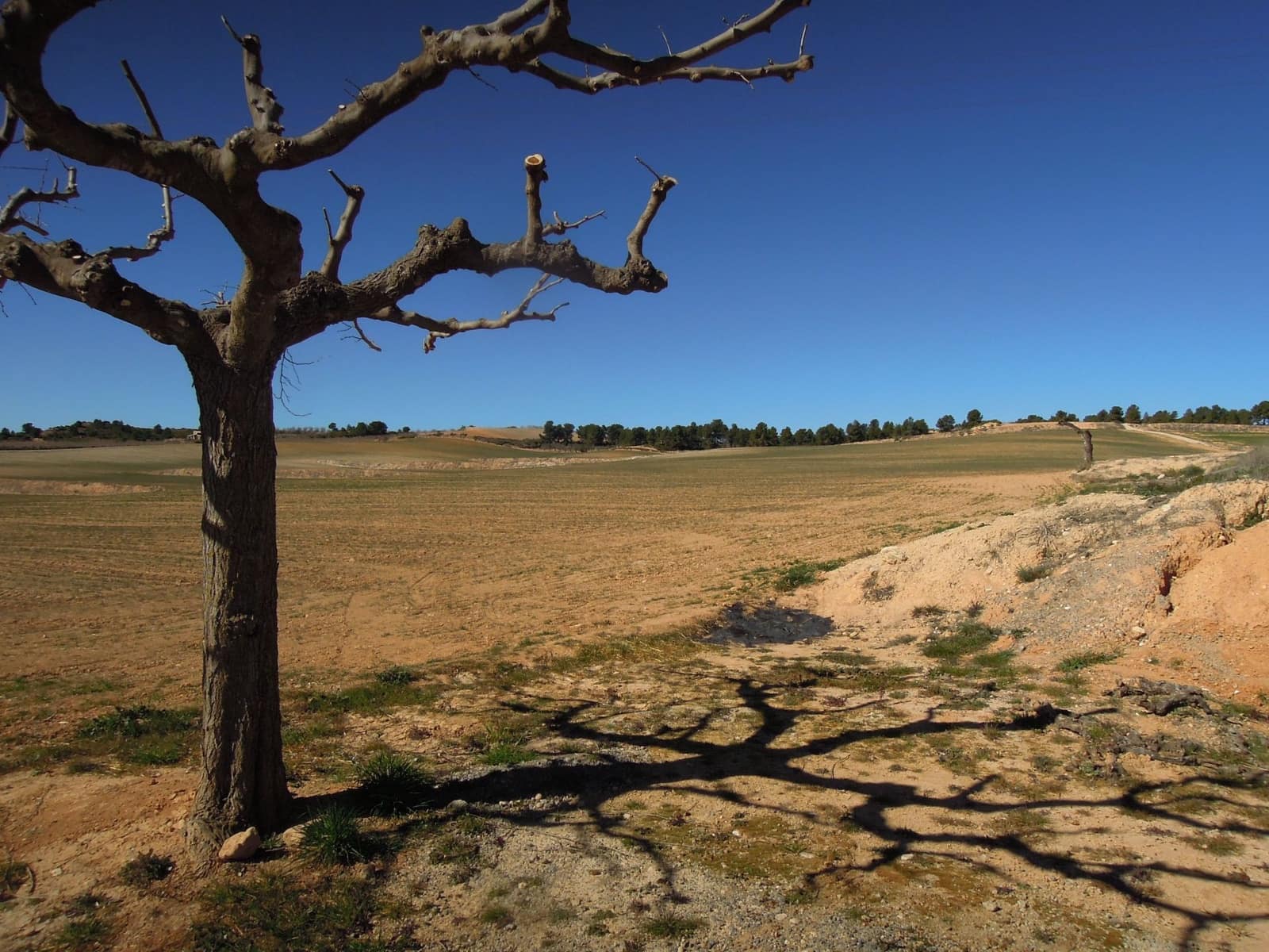 6 sovrum Villa till salu i Villena med garage - 700 000 € (Ref: 9169301)