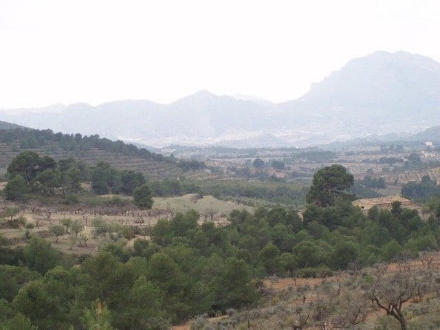 15 slaapkamer Finca/Landhuis te koop in La Torre de les Maçanes, Torremanzanas - € 1.000.000 (Ref: 9598626)