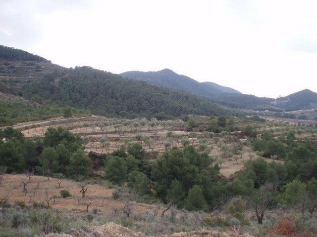 15 slaapkamer Finca/Landhuis te koop in La Torre de les Maçanes, Torremanzanas - € 1.000.000 (Ref: 9598626)