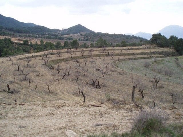 15 bedroom Finca/Country House for sale in La Torre de les Macanes - € 1,000,000 (Ref: 9598626)