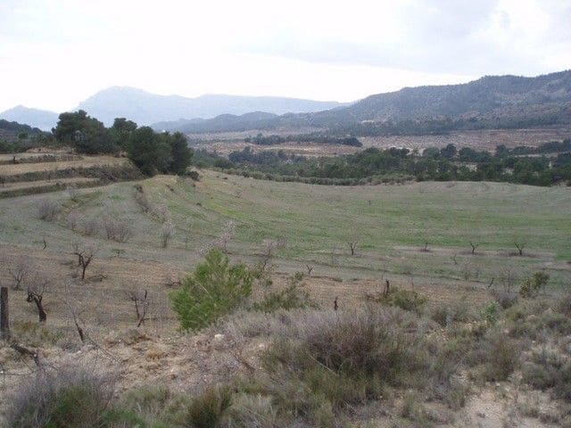 15 slaapkamer Finca/Landhuis te koop in La Torre de les Maçanes, Torremanzanas - € 1.000.000 (Ref: 9598626)