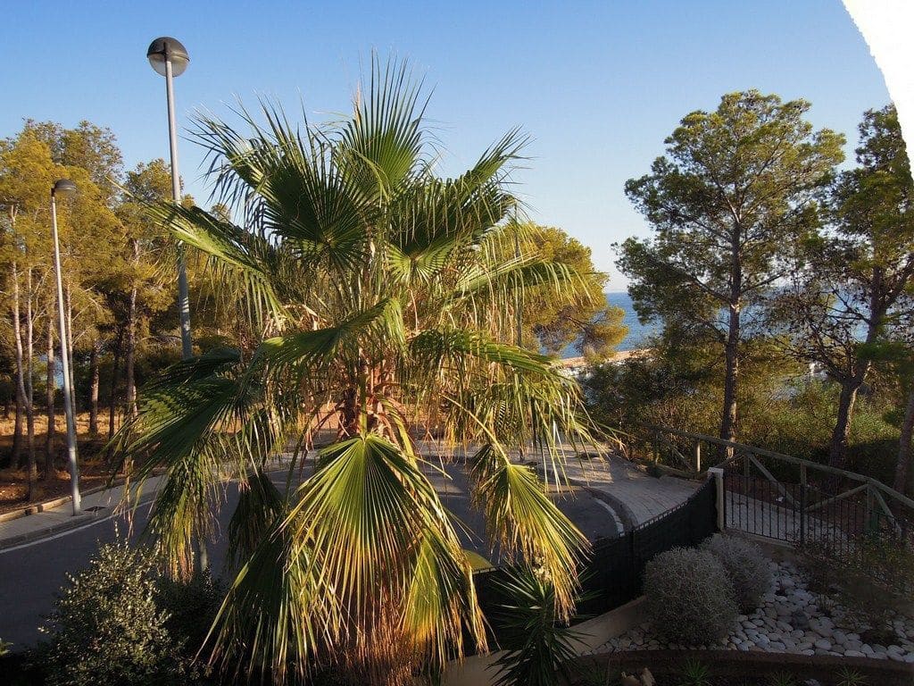 1 sovrum Lägenhet att hyra i Altea med garage - 850 € (Ref: 9751570)