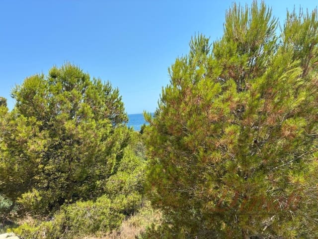3 soveværelse Lejlighed til leje i Altea med swimmingpool garage - € 1.450 (Ref: 9953652)