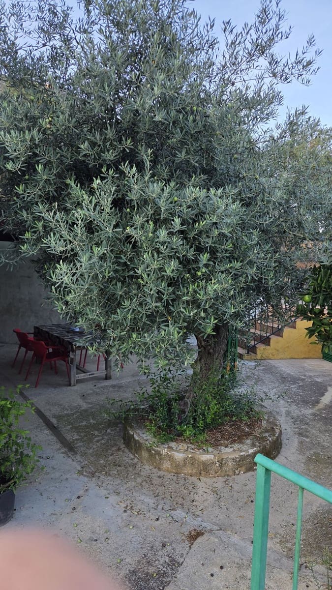 4 slaapkamer Finca/Landhuis te koop in Ojen met zwembad garage - € 540.000 (Ref: 10125039)