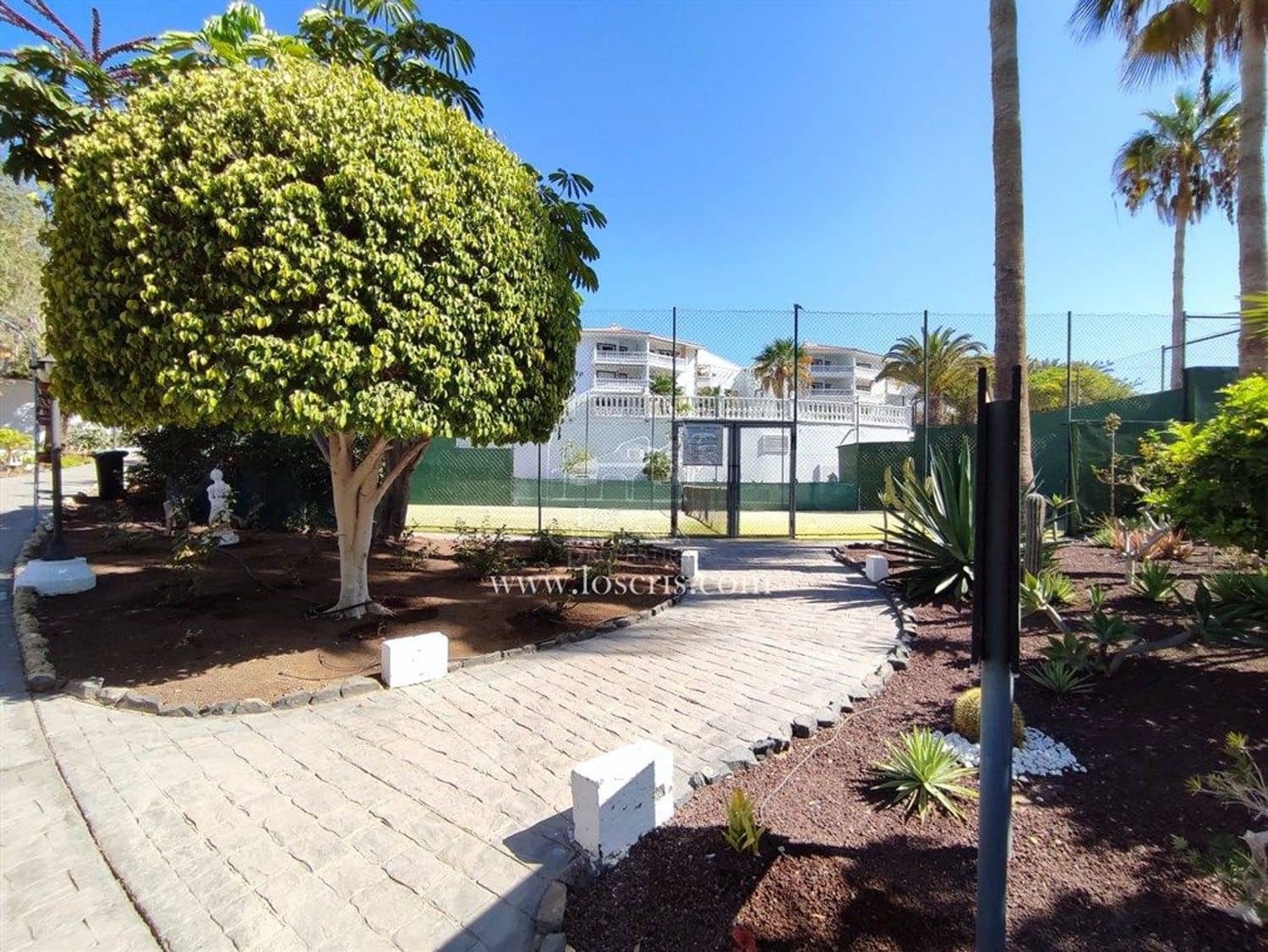 Apartamento de 2 habitaciones en Los Cristianos en venta con piscina garaje - 545.000 € (Ref: 10077372)