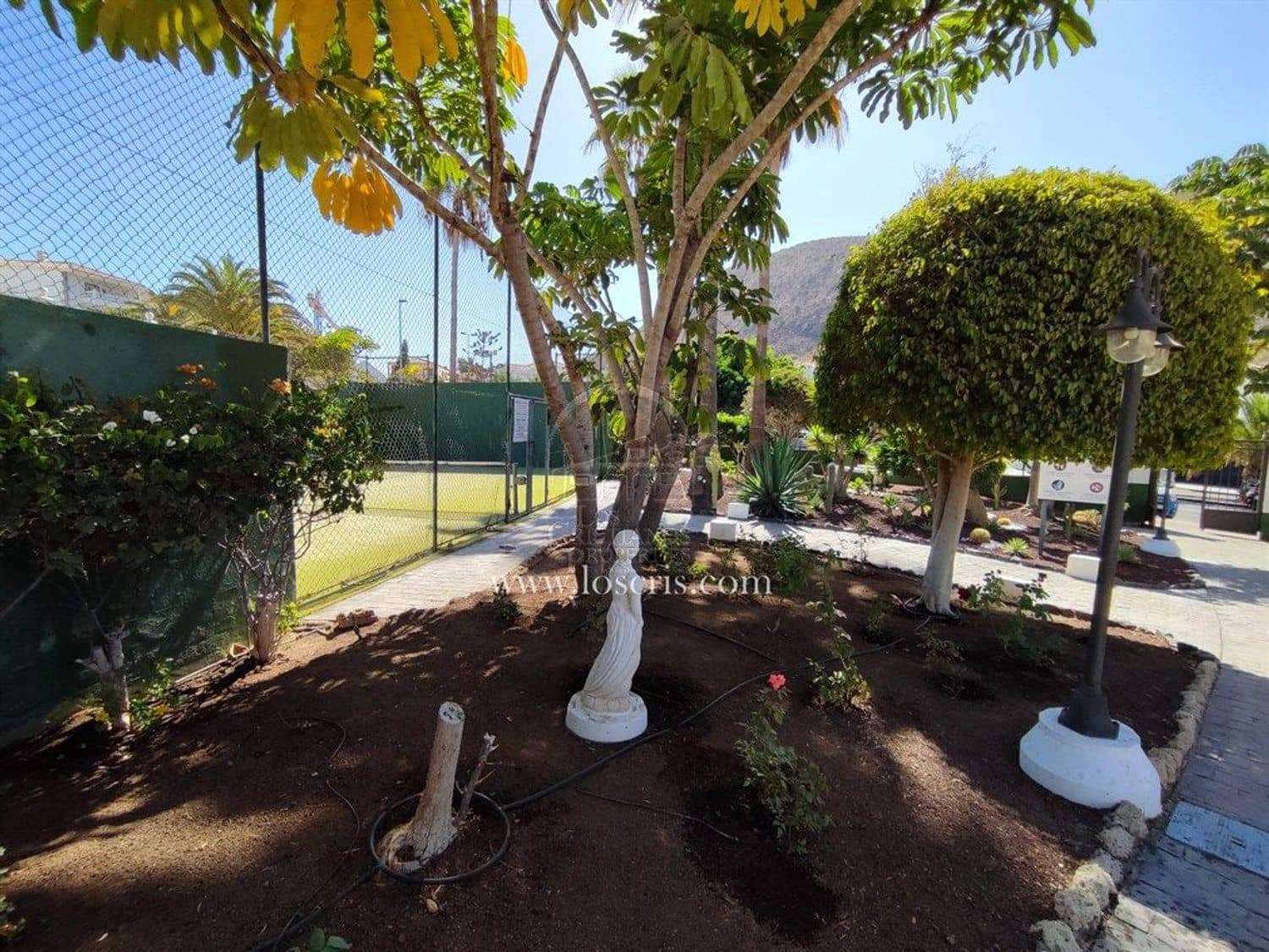 Apartamento de 2 habitaciones en Los Cristianos en venta con piscina garaje - 545.000 € (Ref: 10077372)