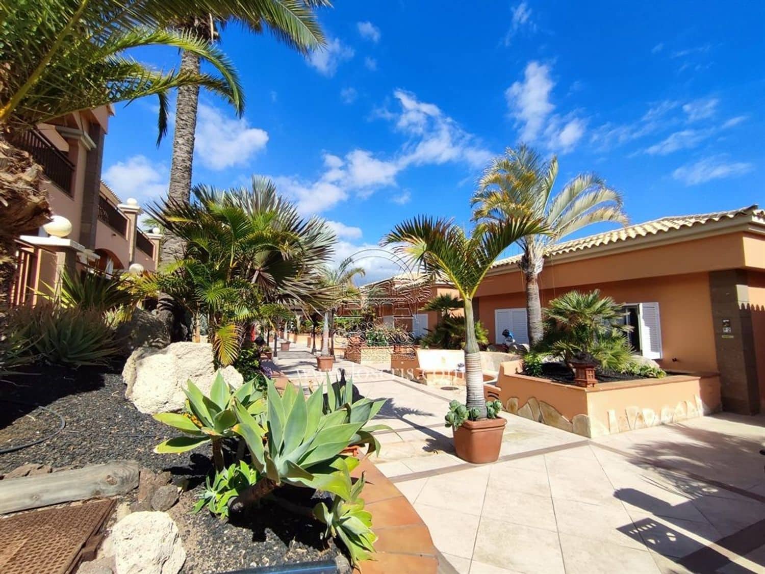 2 bedroom Apartment for sale in Los Cristianos with pool - € 475,000 (Ref: 8982017)