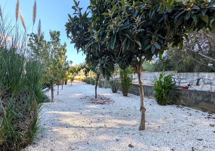 3 sovrum Finca/Hus på landet till salu i Jesus Pobre med pool garage - 749 000 € (Ref: 9452450)