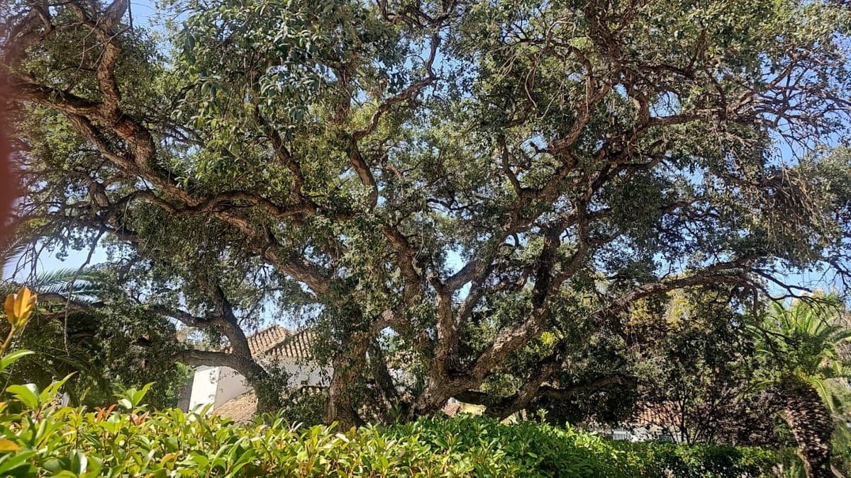 4 chambre Villa/Maison à vendre à Calahonda avec piscine garage - 899 000 € (Ref: 8780210)