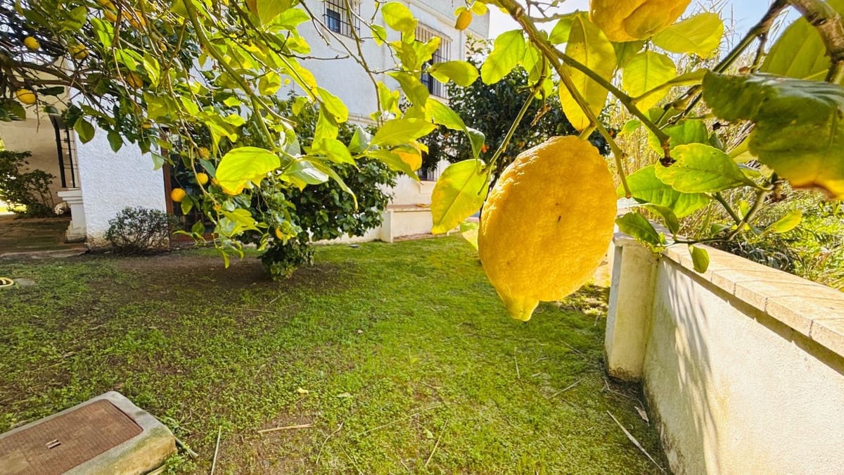 5 slaapkamer Villa te koop in El Rosario met zwembad - € 950.000 (Ref: 9628316)