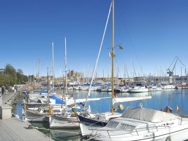 2 Zimmer Apartment zu verkaufen in Arxiduc, Palma de Mallorca mit Garage - 775.500 € (Ref: 10009818)