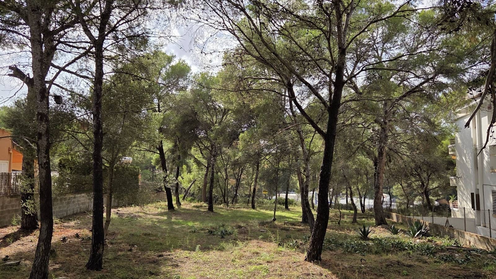 Grond te koop in Santa Ponsa - € 800.000 (Ref: 10145151)