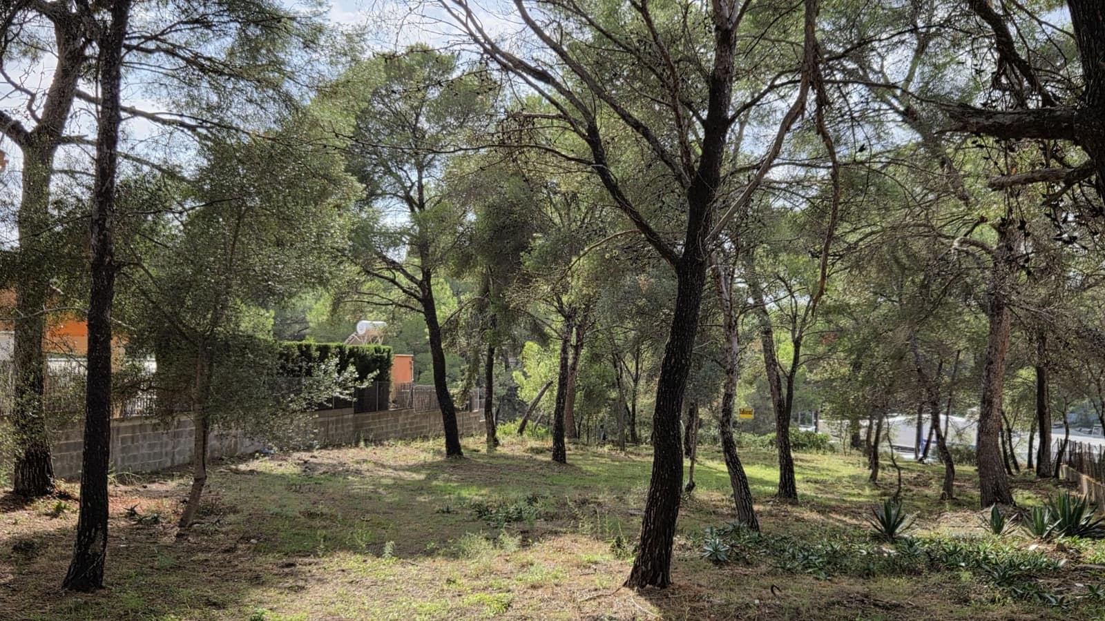 Grond te koop in Santa Ponsa - € 800.000 (Ref: 10145151)