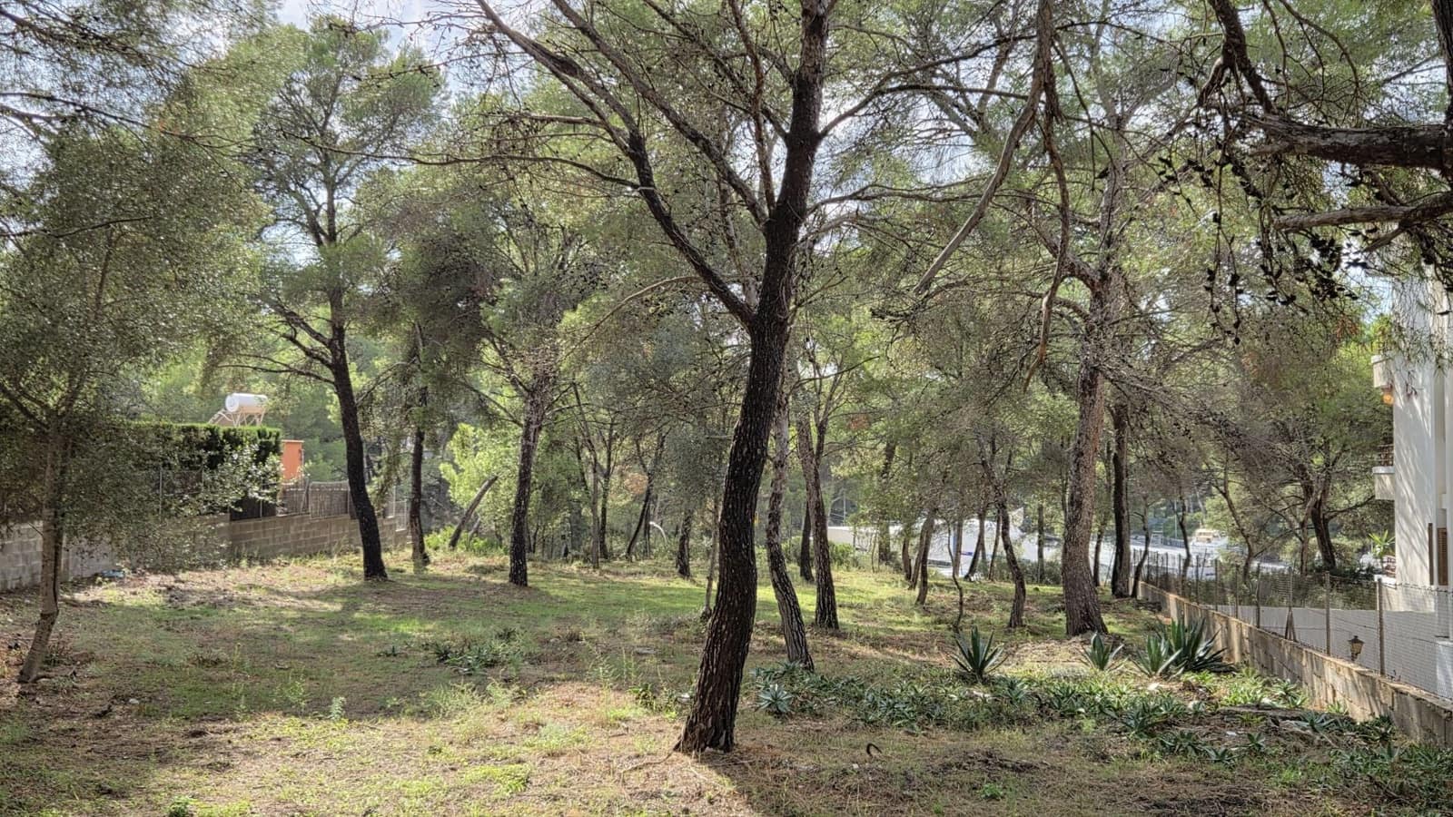 Grond te koop in Santa Ponsa - € 800.000 (Ref: 10145151)