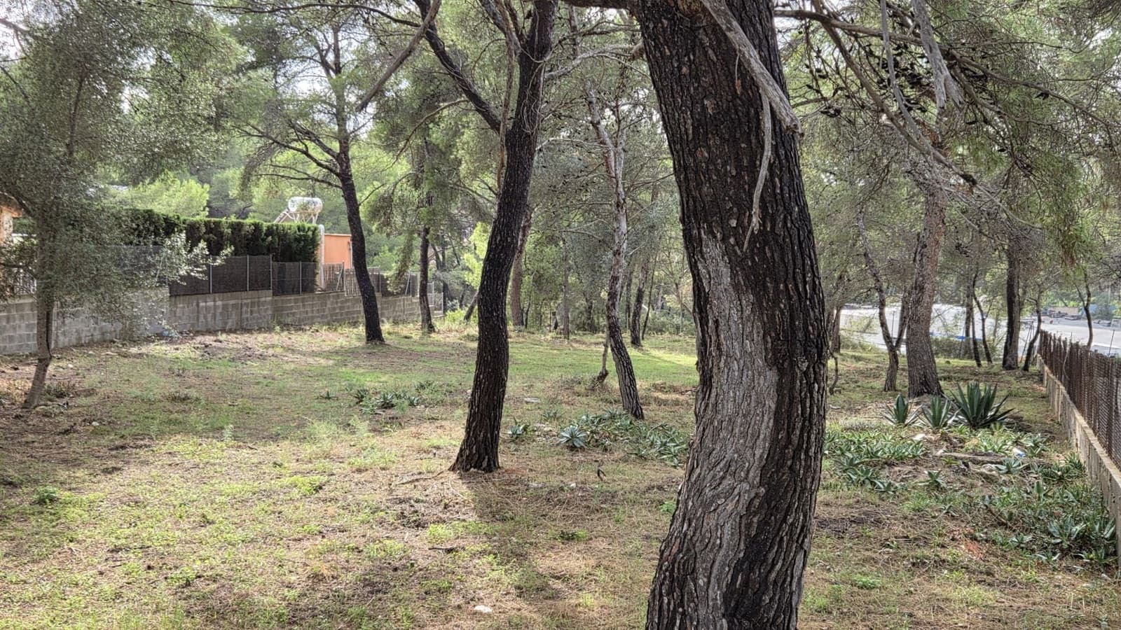 Grond te koop in Santa Ponsa - € 800.000 (Ref: 10145151)