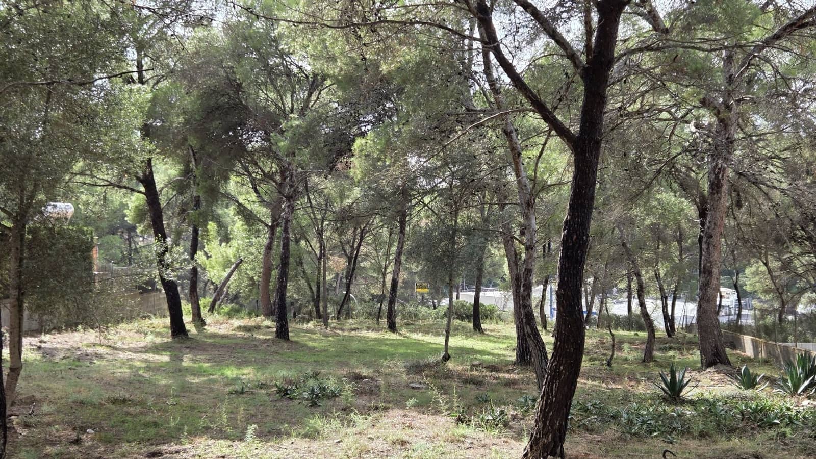 Grond te koop in Santa Ponsa - € 800.000 (Ref: 10145151)