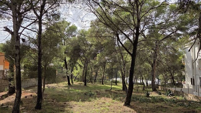 Undeveloped Land for sale in Santa Ponsa, Calvià - € 800,000 (Ref: 10145151)