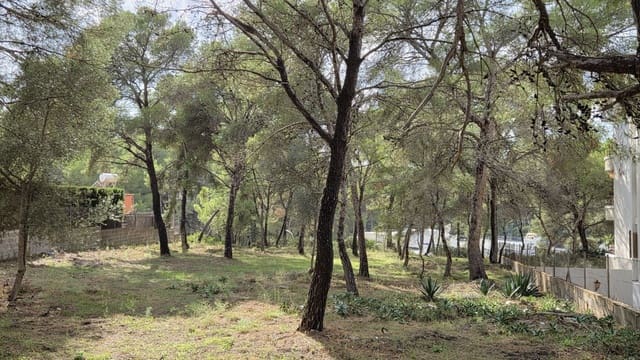 Undeveloped Land for sale in Santa Ponsa, Calvià - € 800,000 (Ref: 10145151)