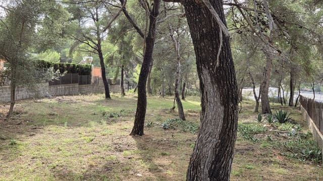 Undeveloped Land for sale in Santa Ponsa, Calvià - € 800,000 (Ref: 10145151)