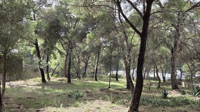Undeveloped Land for sale in Santa Ponsa, Calvià - € 800,000 (Ref: 10145151)