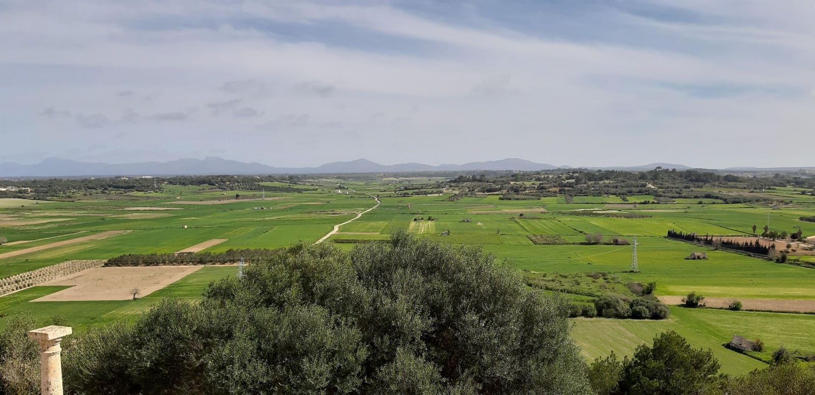 4 soveværelse Villa til salg i Muro med swimmingpool - € 3.500.000 (Ref: 5264411)