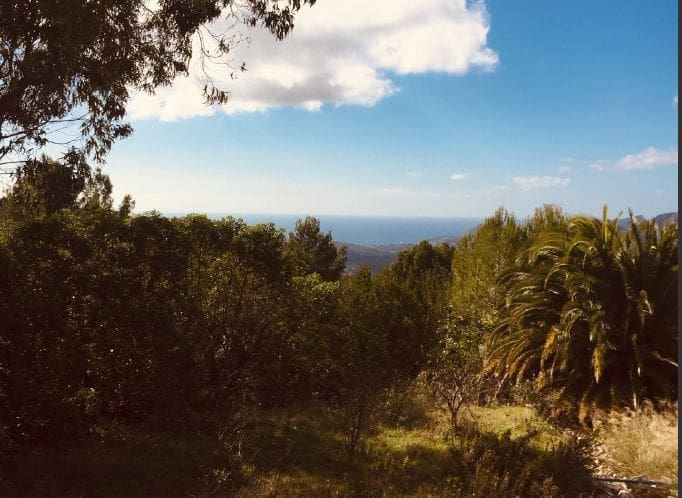 Grunde uden byggetilladelser til salg i Calvia - € 2.300.000 (Ref: 5264637)