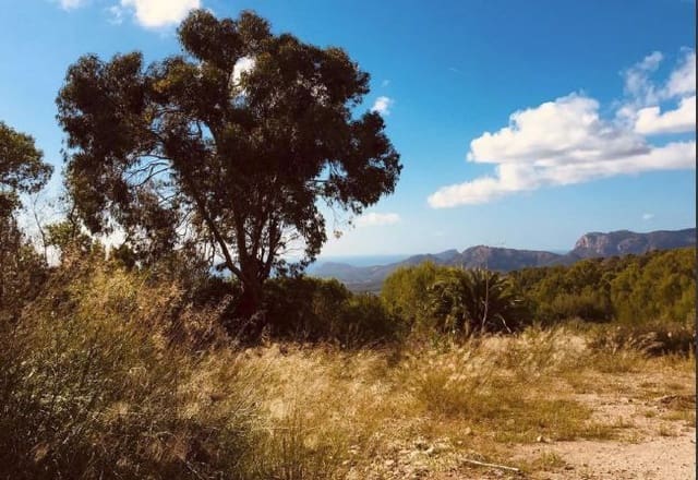 Undeveloped Land for sale in Calvià Pueblo, Calvià - € 2,300,000 (Ref: 5264637)