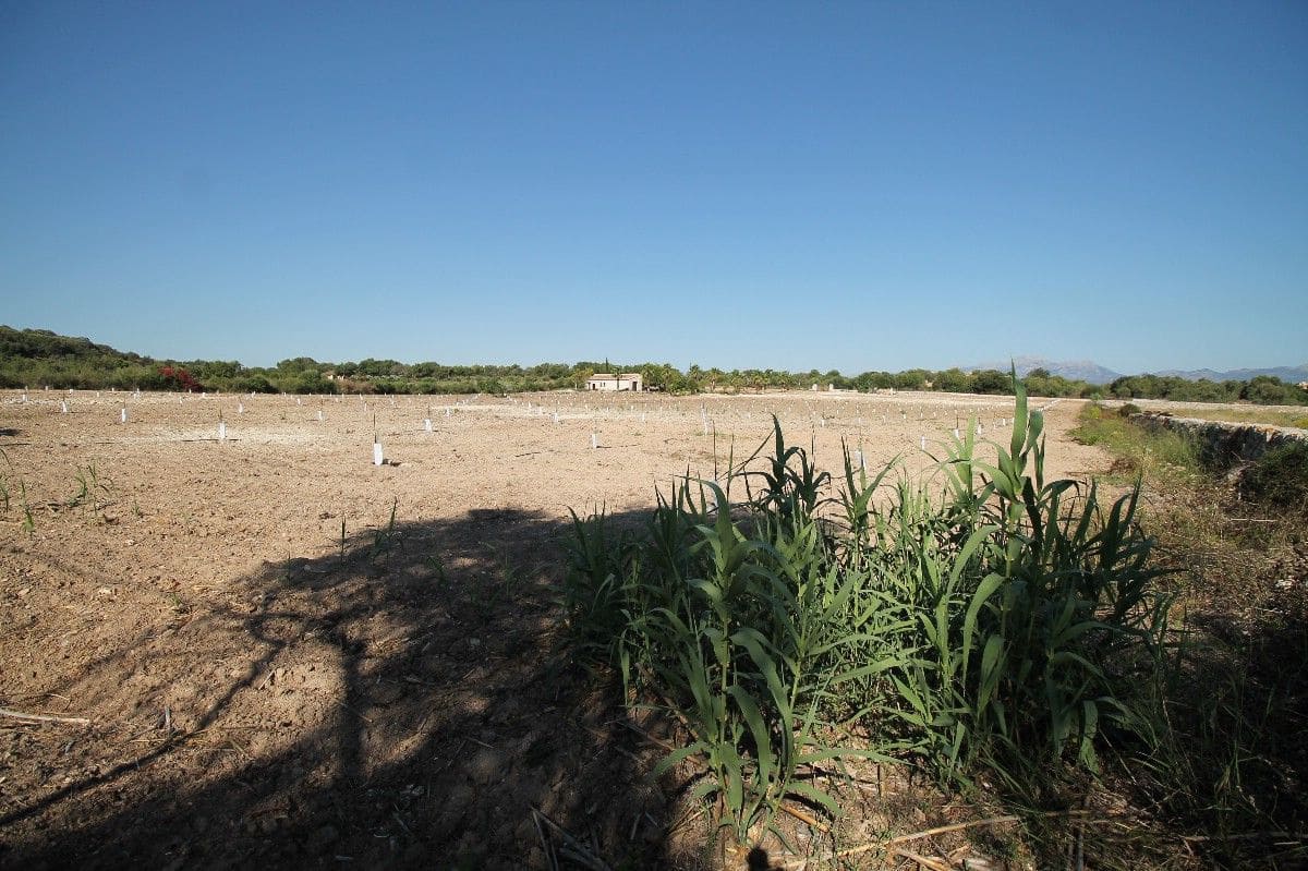 Grunde uden byggetilladelser til salg i Muro - € 3.900.000 (Ref: 5264748)