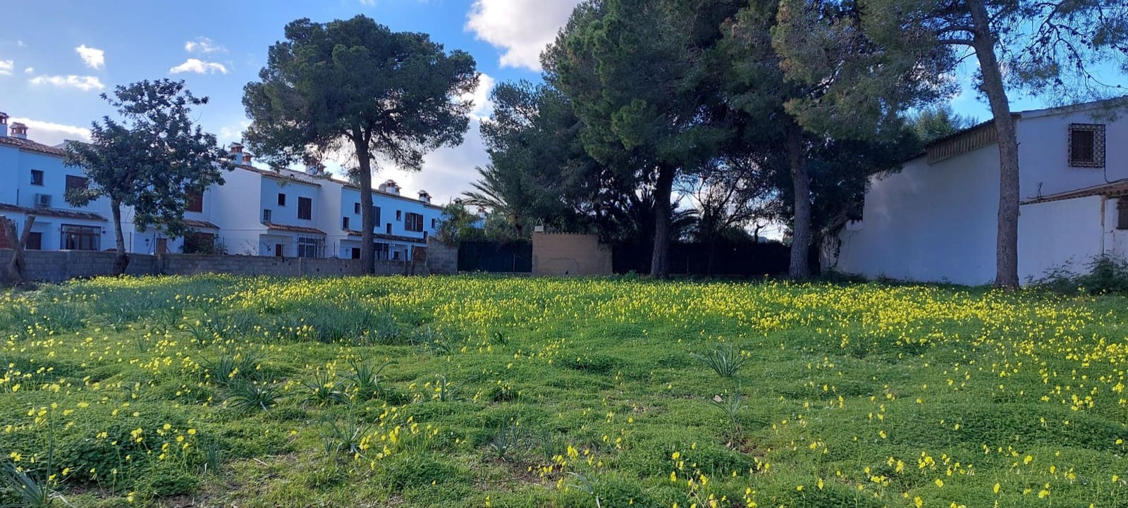 Grunde uden byggetilladelser til salg i Palmanova - € 870.000 (Ref: 6569537)