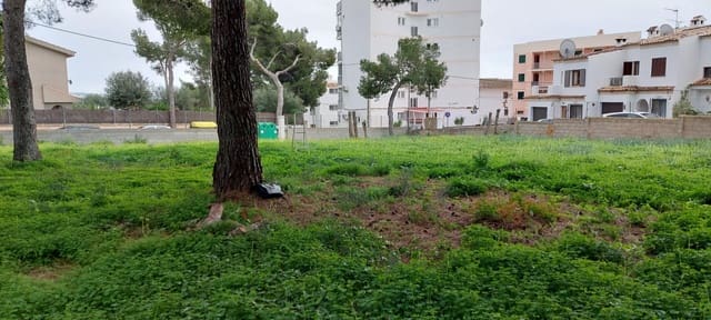 Undeveloped Land for sale in Palmanova, Calvià - € 870,000 (Ref: 6569537)