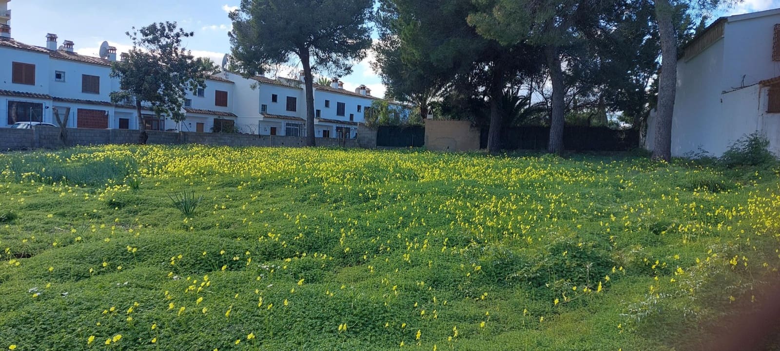 Grunde uden byggetilladelser til salg i Palmanova - € 870.000 (Ref: 6569537)