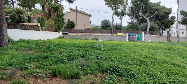 Undeveloped Land for sale in Palmanova, Calvià - € 870,000 (Ref: 6569537)