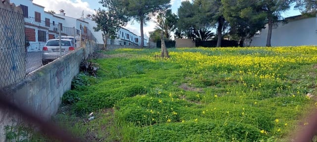 Undeveloped Land for sale in Palmanova, Calvià - € 870,000 (Ref: 6569537)