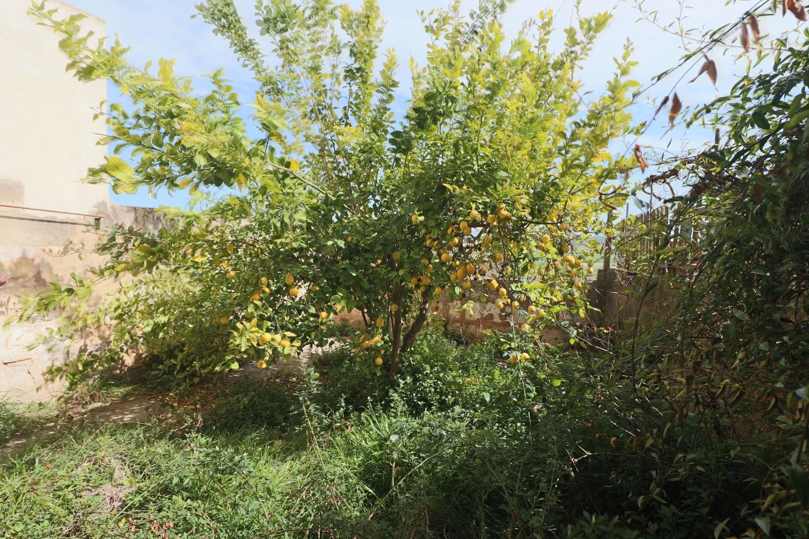 Byhus til salg i Montuiri - € 515.000 (Ref: 7886336)