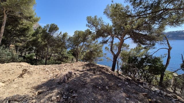 Undeveloped Land for sale in Puerto de Andratx, Andratx - € 8,500,000 (Ref: 9003454)