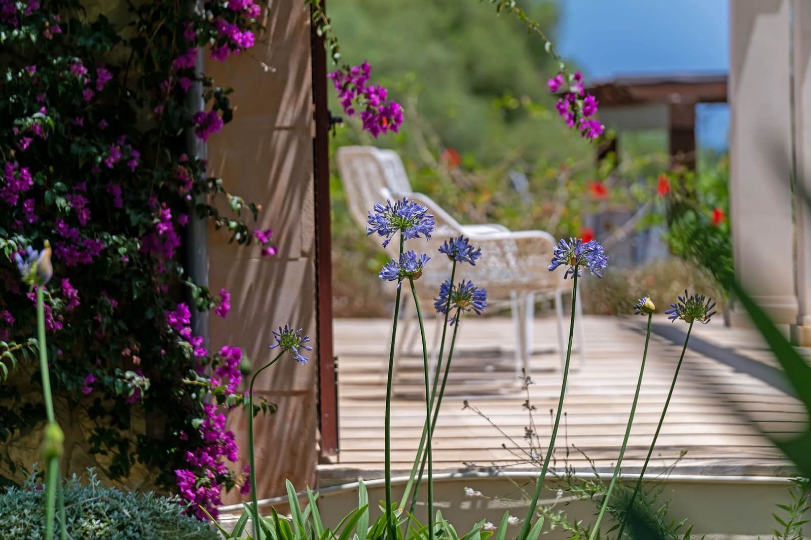 6 soverom Finca/Herregård til salgs i Pollensa / Pollenca - € 3 375 000 (Ref: 9074786)