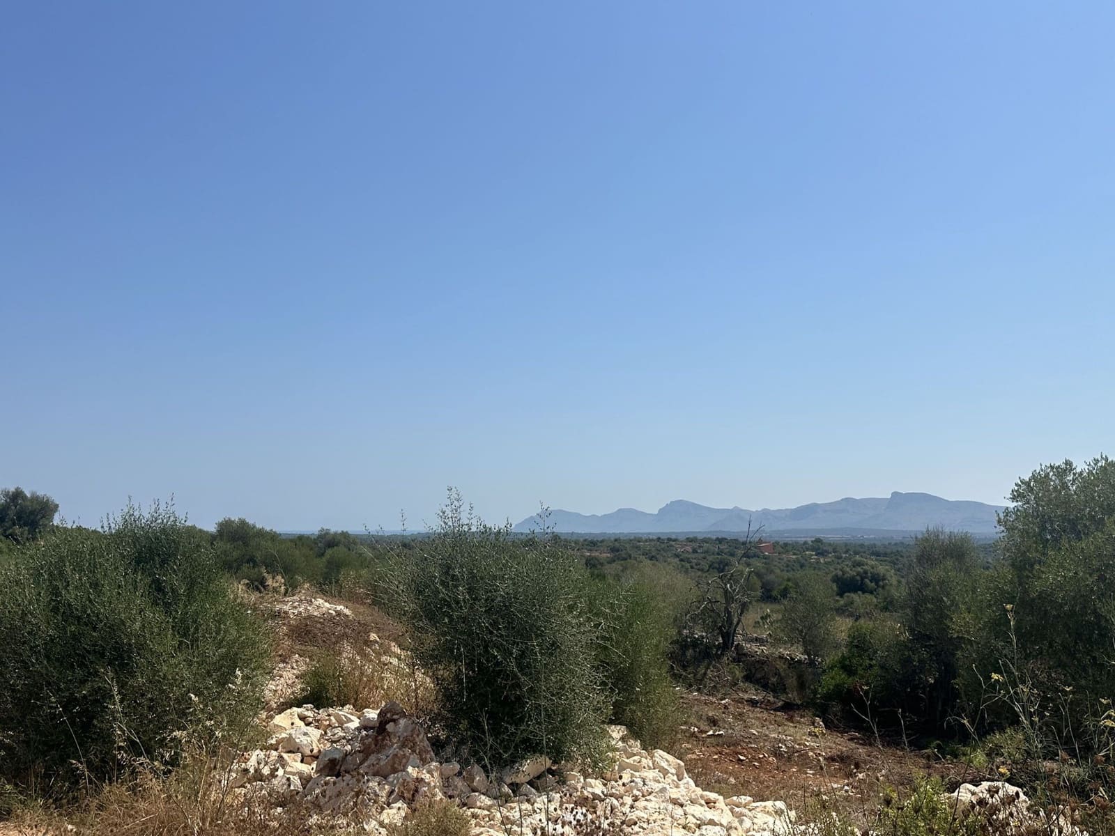 3 quarto Quinta/Casa Rural para venda em Santa Margalida com piscina - 2 750 000 € (Ref: 9146664)