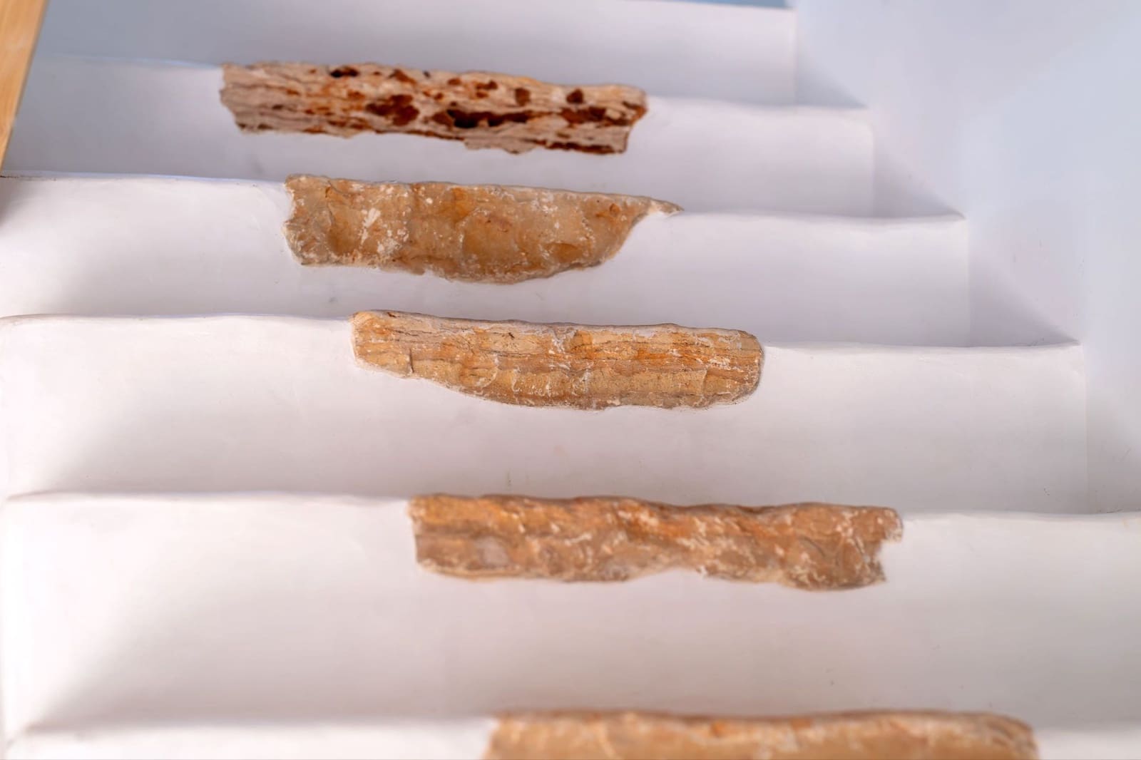 4 quarto Quinta/Casa Rural para venda em Ses Salines com piscina - 3 690 000 € (Ref: 9204146)