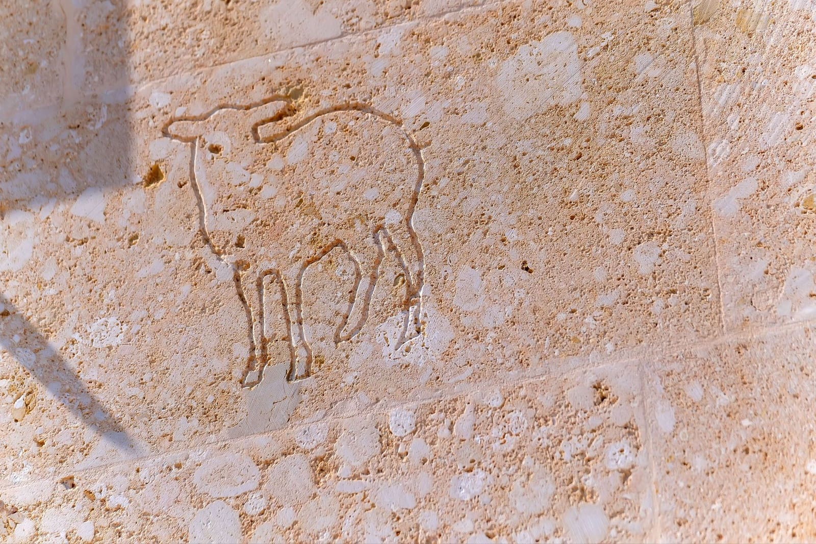 4 quarto Quinta/Casa Rural para venda em Ses Salines com piscina - 3 690 000 € (Ref: 9204146)