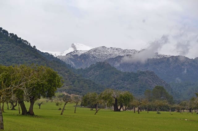 Undeveloped Land for sale in Campanet - € 1,050,000 (Ref: 9325428)