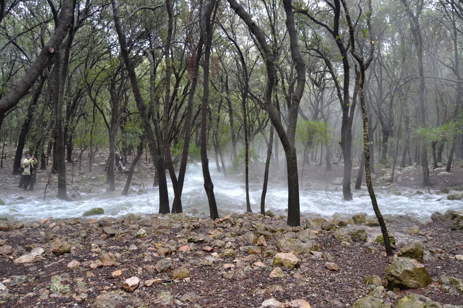 Grunde uden byggetilladelser til salg i Campanet - € 1.050.000 (Ref: 9325428)