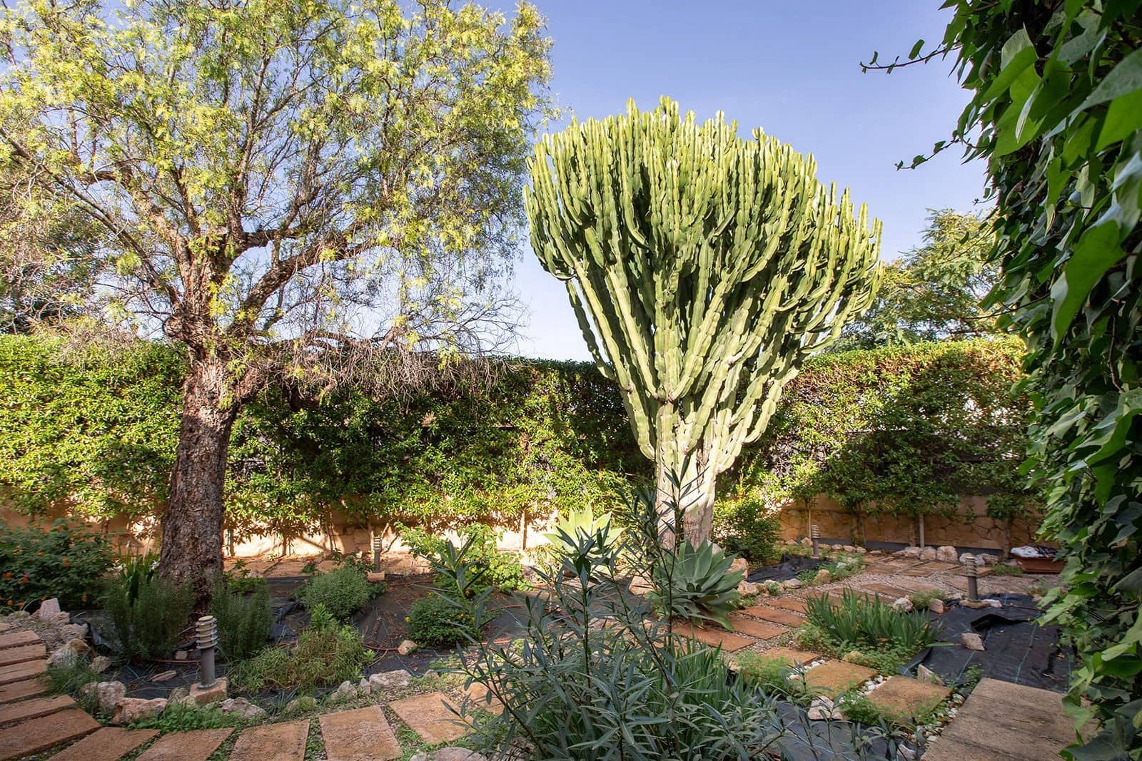 4 soverom Villa til salgs i Portals Nous - € 1 900 000 (Ref: 9390075)