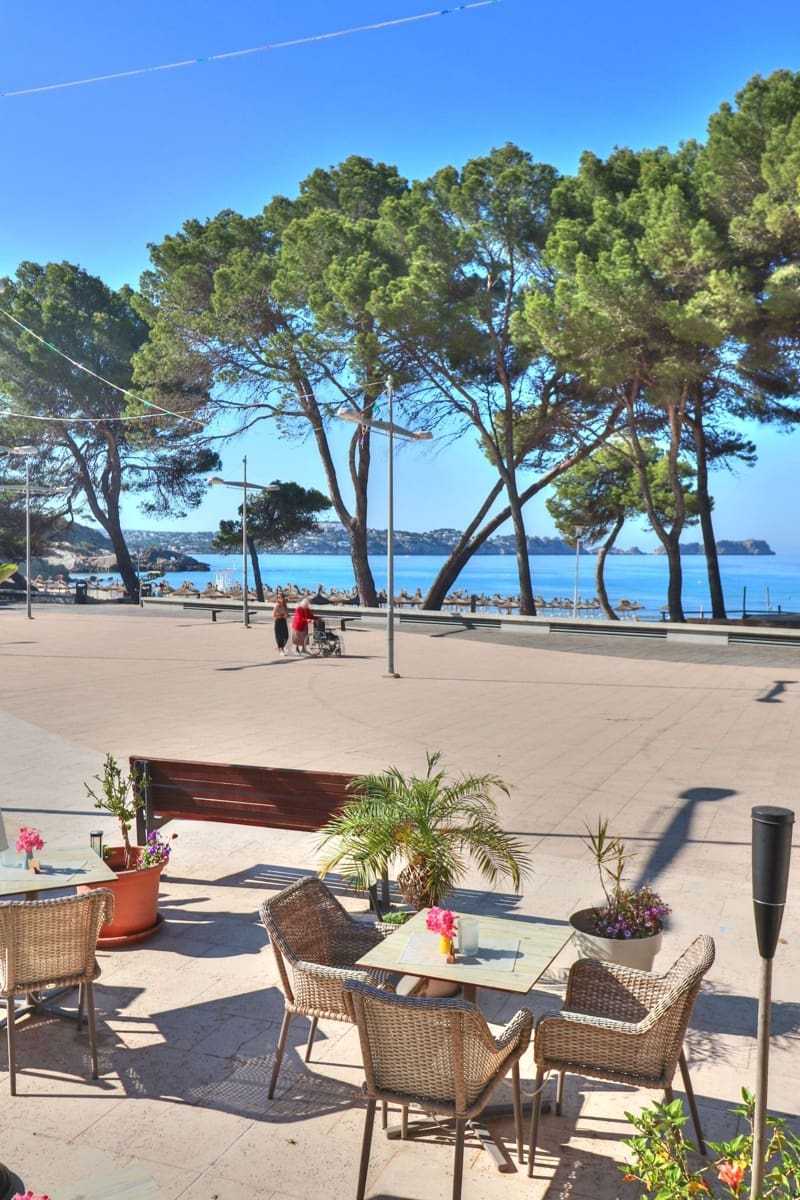 Commerciale in vendita in Peguera / Paguera - 270.000 € (Rif: 9398033)