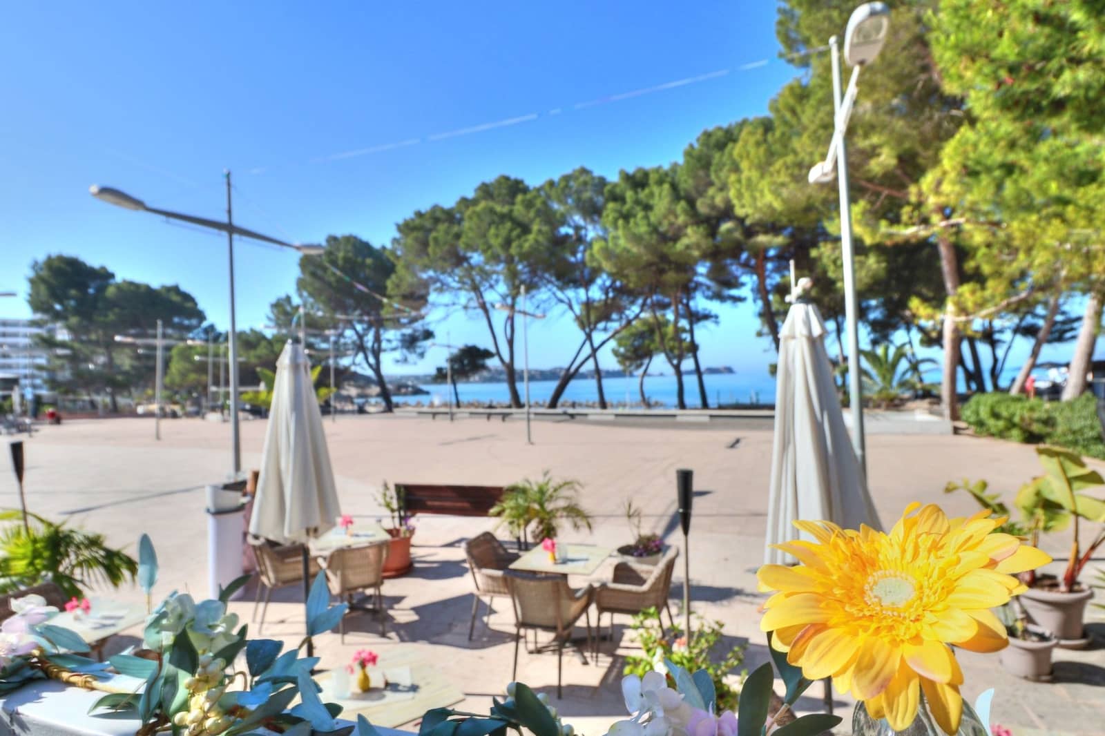 Commerciale in vendita in Peguera / Paguera - 270.000 € (Rif: 9398033)