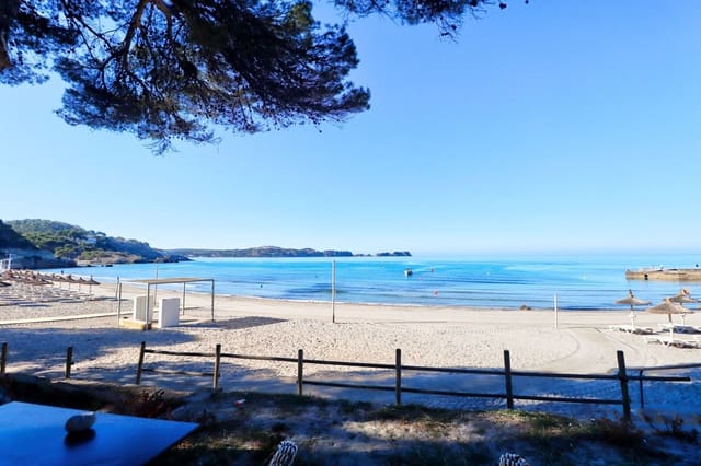 Erhverv til salg i Peguera / Paguera, Calvià - € 270.000 (Ref: 9398033)