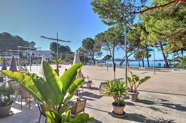 Erhverv til salg i Peguera / Paguera, Calvià - € 270.000 (Ref: 9398033)