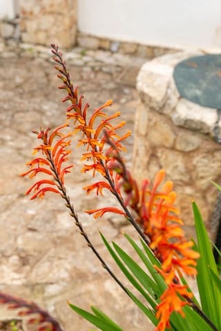 4 bedroom Villa for sale in Portals Nous, Calvià with pool - € 2,850,000 (Ref: 9654123)