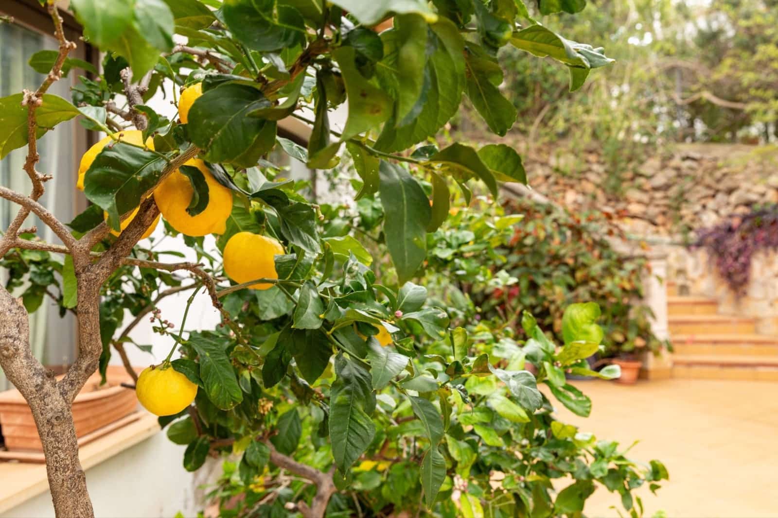 4 bedroom Villa for sale in Portals Nous with pool - € 2,850,000 (Ref: 9654123)